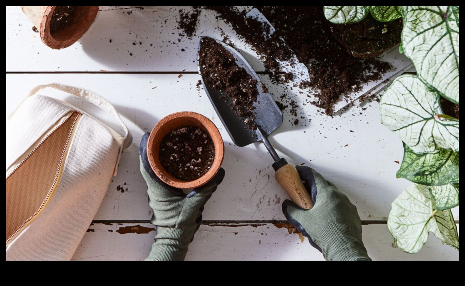 Nature Nurturer: Yeşil Başparmaklı Bayan İçin Bahçe Hediyeleri