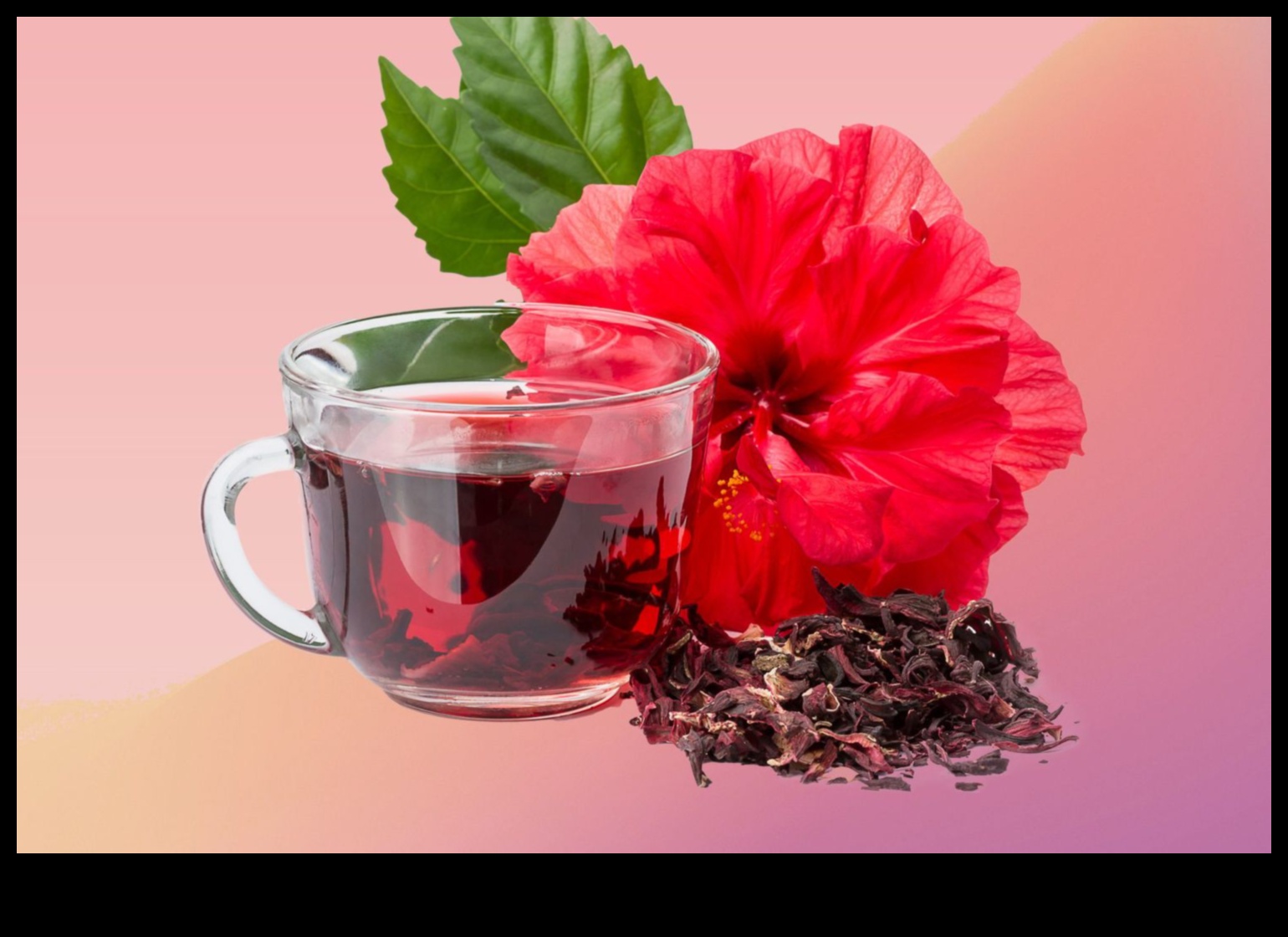 SIP ve Blossom: Vücudunuzu ve zihninizi Hibiscus Çayı ile beslemek