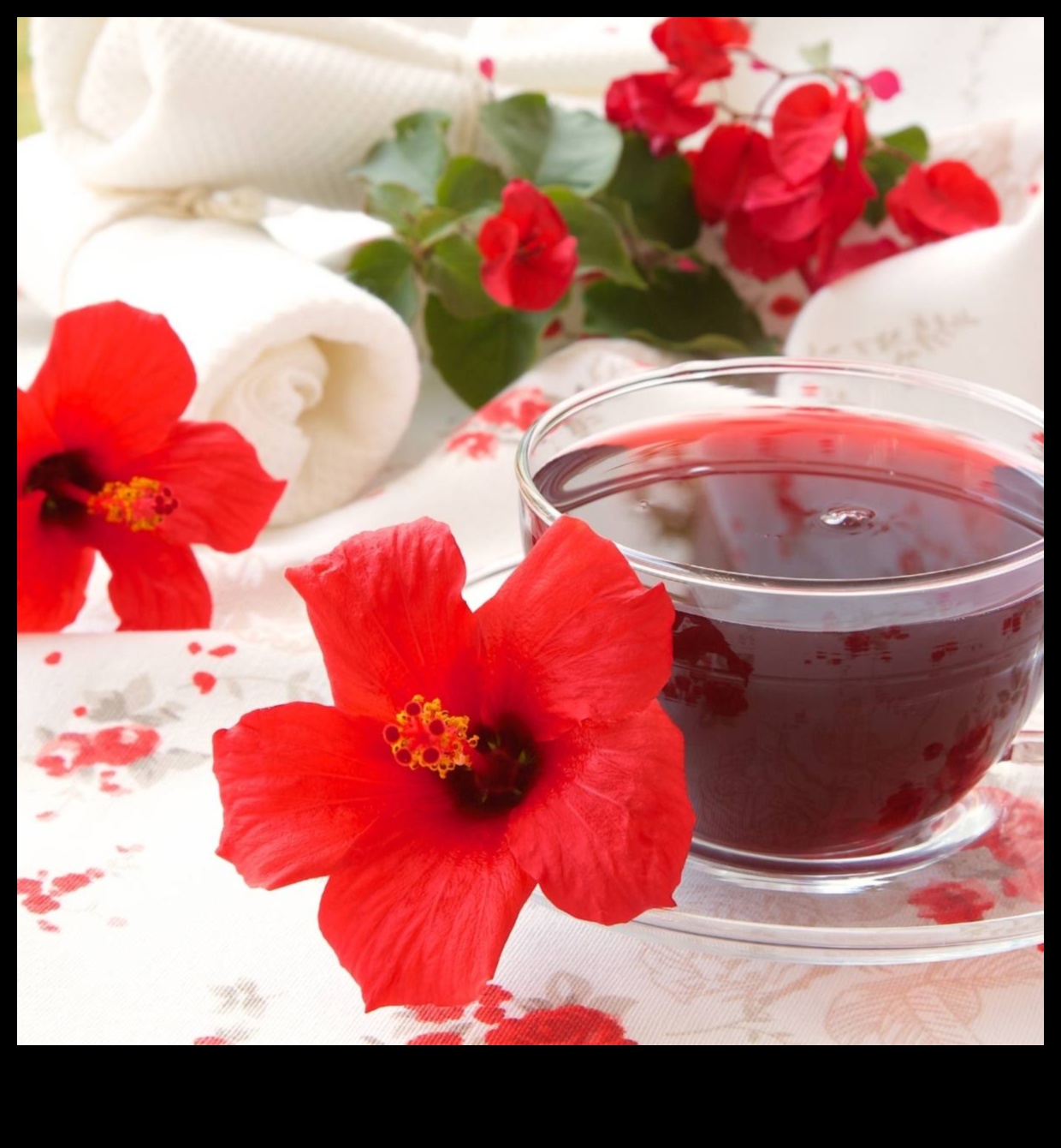 SIP ve Blossom: Vücudunuzu ve zihninizi Hibiscus Çayı ile beslemek