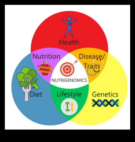 Haritalama Sağlık: Bir Nutrigenomics Araştırma